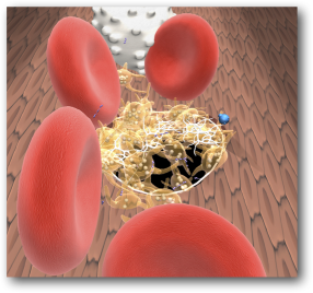 BloodCoagulation-Closeup-Small