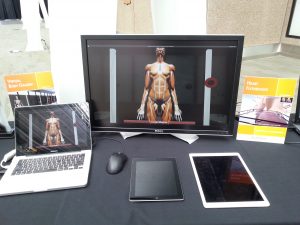 Body Gallery & Heart Display