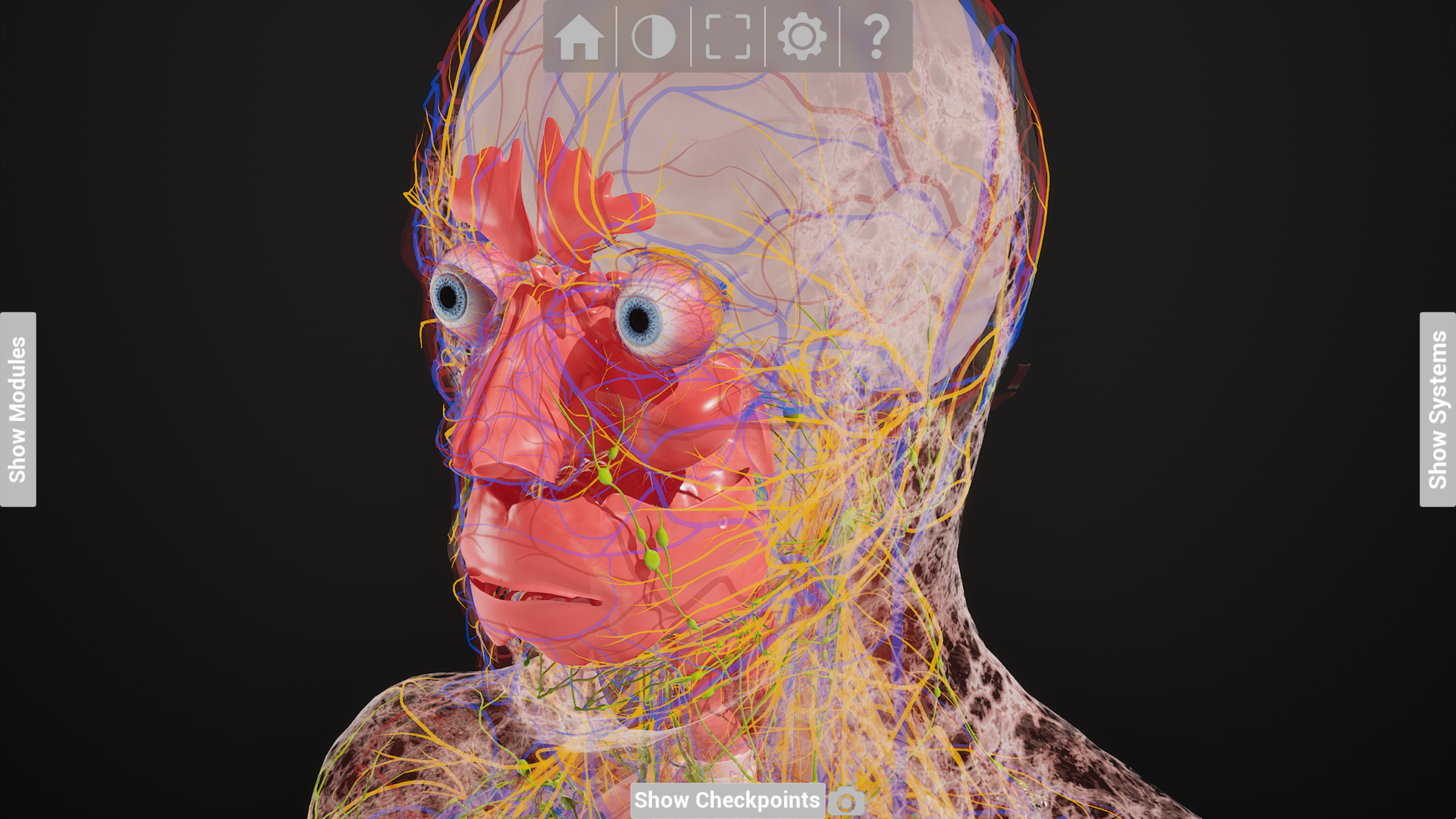 LINDSAY App Head